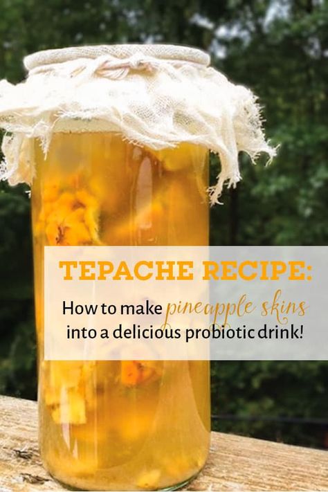 Fermented Pineapple, Pineapple Kombucha, Tepache Recipe, Kombucha Recipe, Medicine Tips, Probiotic Drinks, Fermentation Recipes, Nutrition Plan, Fermented Drink