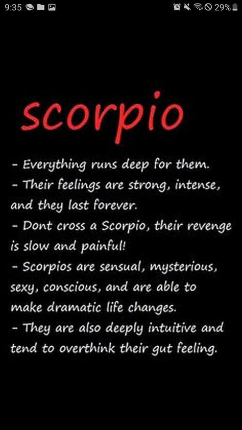 Scorpio Matches, Scorpio Qualities, Horoscope Signs Scorpio, Scorpio Eyes, Scorpio Queen, Scorpio Personality, Zodiac Quotes Scorpio, Scorpio Art, Astrology Meaning