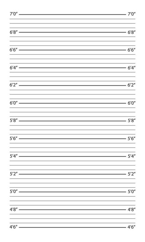 Suspect Profile Template, Police Background, Mugshot Background, Police File, Police Party, Fbi Special Agent, Reference Chart, Height Chart, Body Form