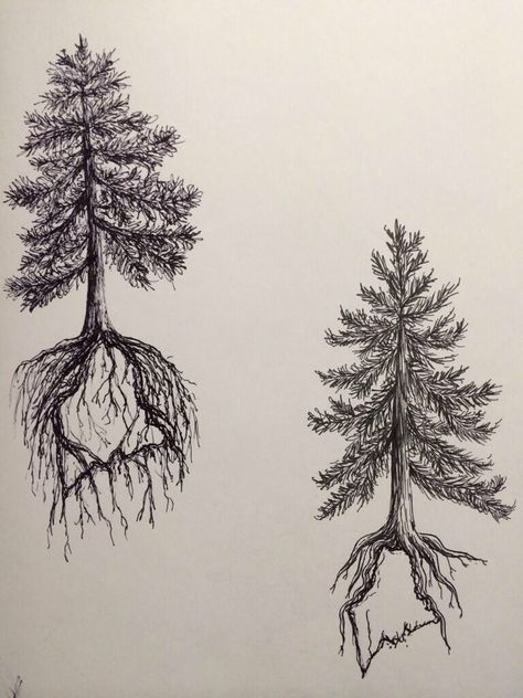 Maine Tattoo, Maple Tree Tattoos, Tree Roots Tattoo, Tree Tat, Tree Tattoo Men, Roots Tattoo, State Tattoos, Oak Tree Tattoo, Family Tree Tattoo