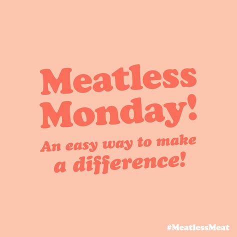 Meat Quotes, Non Vegetarian Quotes, Veganism Quotes, Go Vegan Quotes, Vegan Jokes, Being Vegetarian Memes, Meat Free Monday, Vegan Memes, Vegan Humor