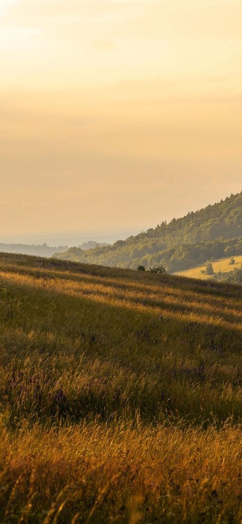 Field Wallpaper, Space Phone Wallpaper, Majestic Mountains, Pretty Landscapes, Cool Wallpapers Art, Photography Awards, Landscape Wallpaper, Nature Aesthetic, Walking In Nature