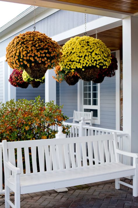 Hanging Mum Baskets on Front Porch Outdoor Fall Decorating Ideas, Fall Curb Appeal, Fall Hanging Baskets, Fall Container Plants, Mums In Pumpkins, Fall Landscaping, Outside Fall Decor, Fall Container Gardens, Fall Mums