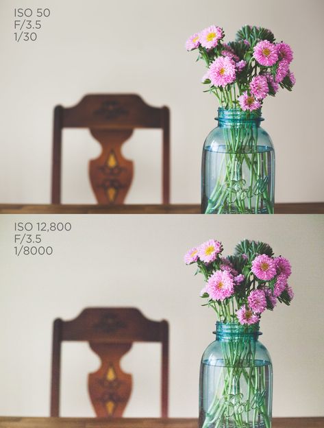 What is ISO & How to Choose the Correct ISO Setting - Pretty Presets for Lightroom High Iso Photography, Iso Setting, Iso Photography, What Is Iso, Iso Settings, Aperture Settings, Pretty Presets, Vintage Lightroom Presets, Fast Shutter Speed