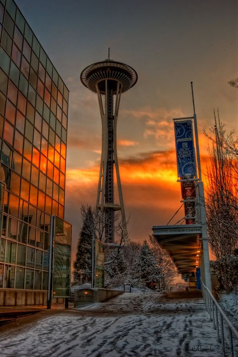 Pacific Science Center Seattle Aesthetic, Seattle Space Needle, Seattle Photography, Seattle Photos, Space Needle Seattle, Seattle Travel, Sleepless In Seattle, Seattle City, Seattle Homes