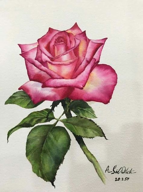 Watercolor Flowers Tutorial, Rose Drawing, Soyut Sanat Tabloları, Flower Sketches, Roses Drawing, Watercolor Paintings Easy, Watercolor Flower Art, 수채화 그림, Watercolor Flowers Paintings