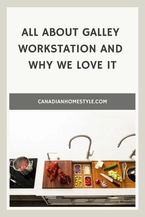 All About Galley WorkStation and Why We Love It Galley Workstation, Corner Workstation, Utensil Caddy, Bar Station, Dirty Dishes, Composite Wood, Serving Set, Drying Rack, Kitchen Renovation