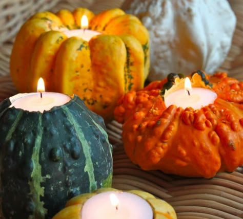 Votive Candle Holders Diy, Fall Gourds, Fall Candle Holders, Pumpkin Wedding, Candle Decoration, Pretty Candle, Autumn Party, Harvest Party, Fall Wedding Centerpieces