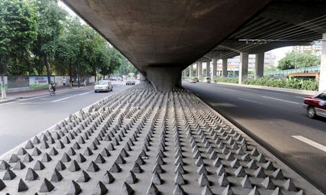 Gallery of Exclusionary Architecture: How Design Interventions in Public Spaces are Dismissing the Homeless - 8 Homeless Architecture, Evil Architecture, Homelessness Art, Hostile Architecture, Dense City, Street Animals, Guy Debord, Urban Core, Electric Garden