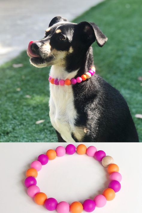 Dog Necklaces How To Make Dog Necklaces, Diy Beaded Dog Necklace, How To Make Beaded Dog Collars, Dog Beaded Necklace, Dog Necklace Collar Diy, Diy Beaded Dog Collar, Diy Dog Jewelry, Diy Dog Necklace, Beaded Dog Collar Diy