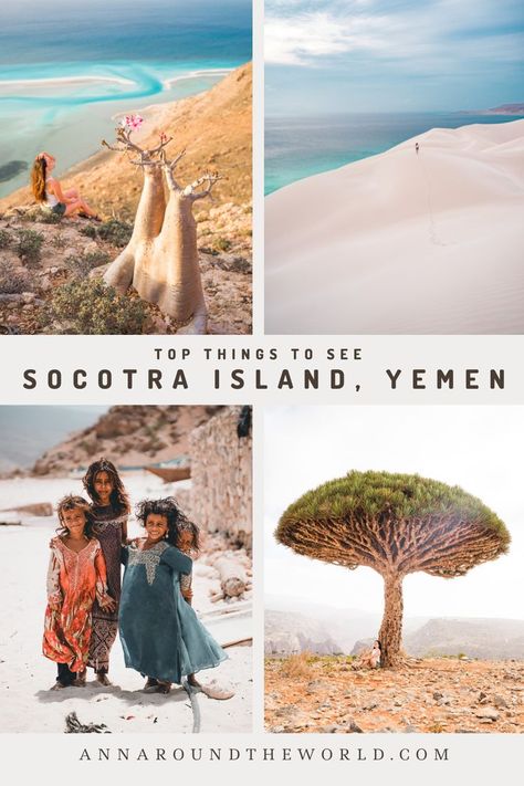 Top things to see in Socotra Island, Yemen Yemen Socotra, Yemen Travel, Socotra Island Yemen, Socotra Yemen, Socotra Island, Socotra, Travel Inspiration Destinations, Round The World, Vacation Places