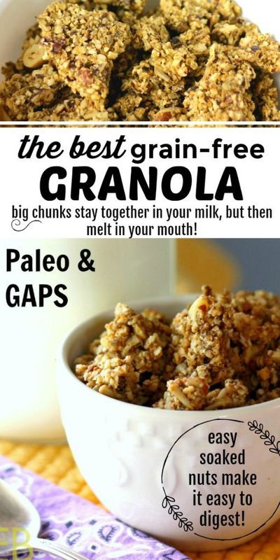 Best Granola Recipe, Grain Free Granola Recipe, Paleo Snacks Easy, Paleo Snack Recipes, Paleo Breakfast Recipes, Paleo Granola, Paleo Snack, Best Granola, Paleo Protein