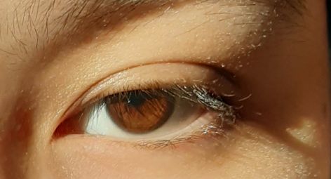 brown eyes (ar) 2 #aesthetic Brown Asian Eyes Aesthetic, Cognac Brown Eyes, Honey Brown Eyes Aesthetic, Asian Eyes Aesthetic, Brown Eyes Boy, Chestnut Eyes, Light Brown Eyes, Honey Eyes, Brown Eyes Aesthetic