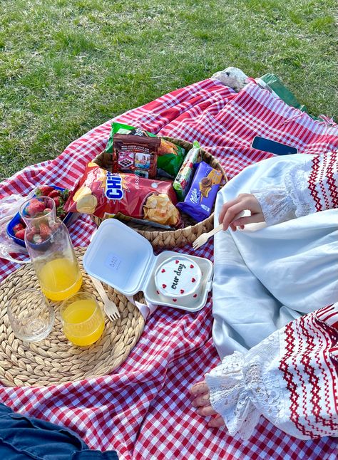 Bento Cake For Picnic, Picnic Pictures, Picnic Planning, Bento Cakes, Red Tone, Picnic Date, Bento Cake, Pictures Ideas, Date Ideas