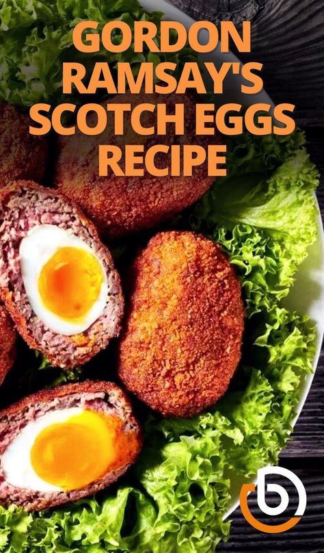 Boiled eggs wrapped around a savory mixture of sausage and black pudding, dipped into flour with breadcrumbs, and finally, deep-fried to perfection. That’s scotch eggs for you. Although it might sound like a lot, Gordon Ramsay's scotch eggs recipe makes it seem easy. Let’s take a look. British Picnic, Pad Kra Pao, Gordon Ramsey Recipes, Scotch Eggs Recipe, Gordon Ramsay Recipe, Scottish Recipes, Scotch Eggs, Egg Recipe, Eggs Recipe