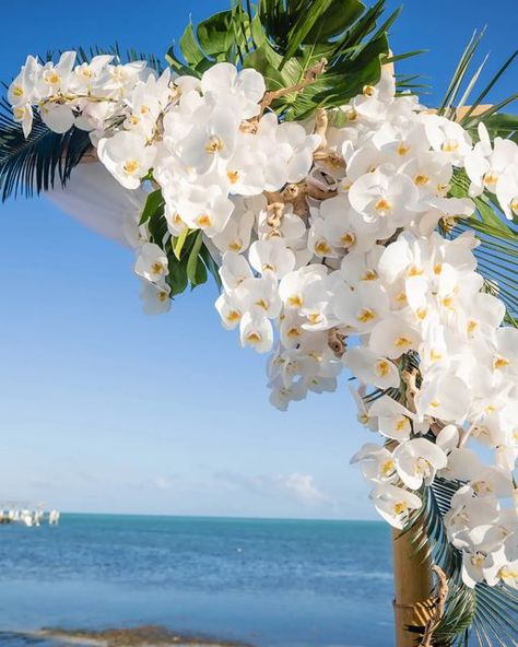 Beach Wedding Orchids, Cheeca Lodge Wedding, Wedding Door Decorations, Simple Wedding Arch, White Orchids Wedding, Hanging Orchid, White Wedding Arch, Wedding Alters, Wedding Doors