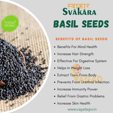 Basil Seeds Benefits, Health Benefits Of Basil, Basil Seed Drink, Sabja Seeds, Benefits Of Basil, Basil Health Benefits, Gastric Problem, Indian Drinks, Seeds Benefits