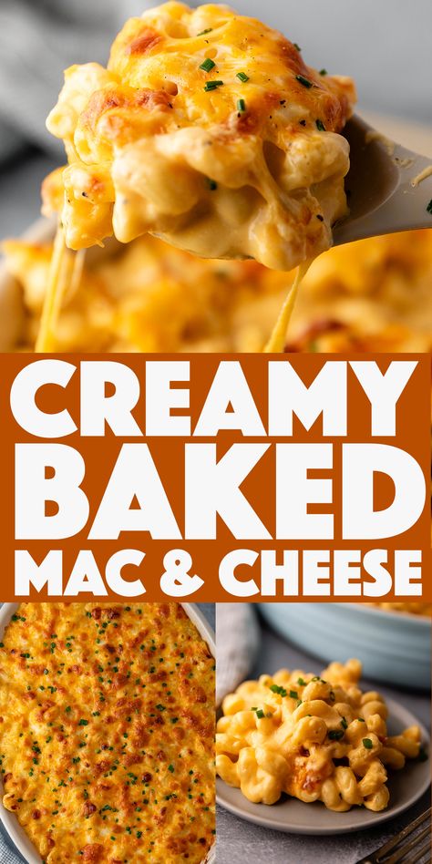 Creamy Baked Mac and Cheese - the ultimate creamy baked mac & cheese recipe with an extra cheesy broiled crust on top! Baked Make And Cheese Recipe, How To Make Good Mac And Cheese, Creamy Mac And Cheese Recipe Baked Easy, Baked Mac And Cheese With Ham, Best Mac N Cheese Recipe Baked, Extra Creamy Mac And Cheese, One Serving Mac And Cheese, Mac And Cheese With Milk, Baked Chicken Mac And Cheese Recipe