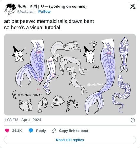 Mermaid Tail Reference, Art Reference Mermaid, Mermaid Poses References, Mermaid Tail Anatomy, Mermaid Drawing Reference, Mermaid Pose Reference, Mermaid Anatomy Poses, Mermaid Fins Drawing Reference, Mermaid Tail Concept Art