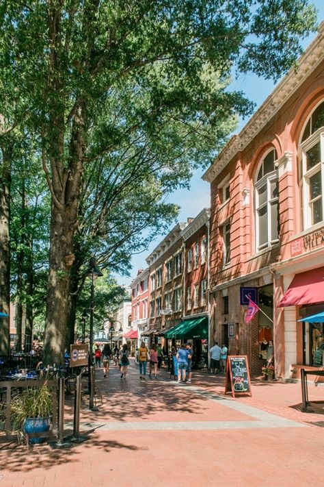 Our Favorite Spots In Charlottesville, VA Things To Do In Charlottesville Va, Brooklyn Brownstone, Bachelorette Ideas, City Planning, Charlottesville Virginia, Charlottesville Va, Apple Orchard, Painting Studio, Historic Home