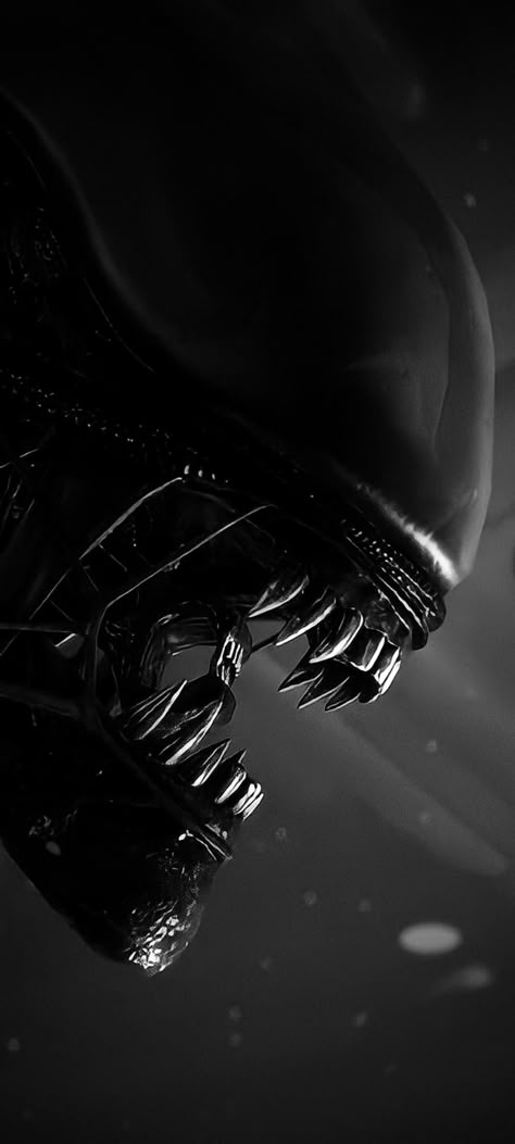 Xenomorph Phone Wallpaper, Xenomorph Wallpaper Iphone, Xenomorph Background, Alien Isolation Xenomorph, Alien Romulus Wallpaper, Alien Xenomorph Art, Alien Movie Wallpaper, Alien Wallpaper Iphone, Xenomorph Wallpaper