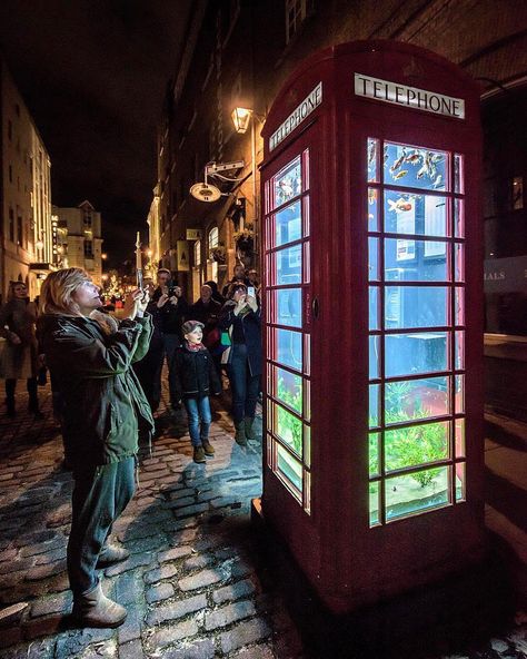 #London on Instagram: “Phone Box Aquarium in Covent Gardens. . 🇬🇧Follow @londoncentric . . (📸 @chrisjdalton ) . . . . . . . . . . . . . . . . . . #london #uk…” London Aquarium, Phone Box, London Photos, London Life, Covent Garden, Free Travel, London Uk, 21st Century, Fish Tank