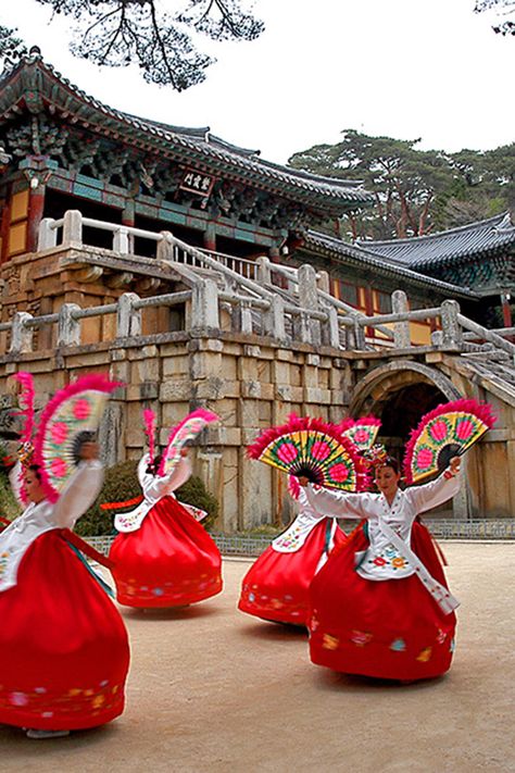 Korean Culture Aesthetic, South Korean Culture, Korean Festival, Camp Festival, South Korea Culture, Korea Traditional, Gyeongju, Fan Dance, Korean Culture