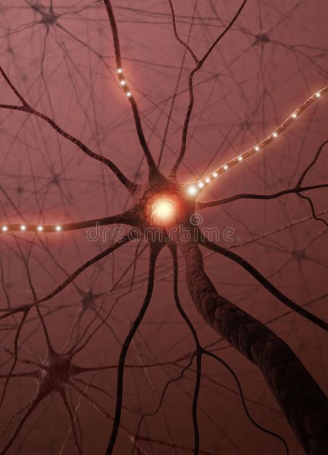 Photo about Inside the brain. Concept of neurons and nervous system. Image of energy, biology, nucleon - 10444243 Neurology Aesthetic, Brain Pictures, Neuroscience Art, Brain Neurons, The Power Of The Mind, Power Of The Mind, Microscopic Photography, Human Body Unit, Biology Art