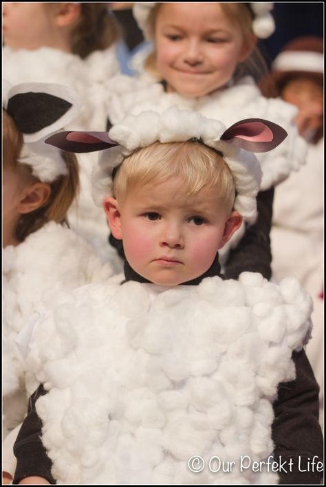 Diy Sheep Costume Kids, Diy Sheep Costume, Nativity Sheep, Farm Costumes, Sheep Costume, Lamb Costume, Sheep Costumes, Sheep Ears, Christmas Pageant