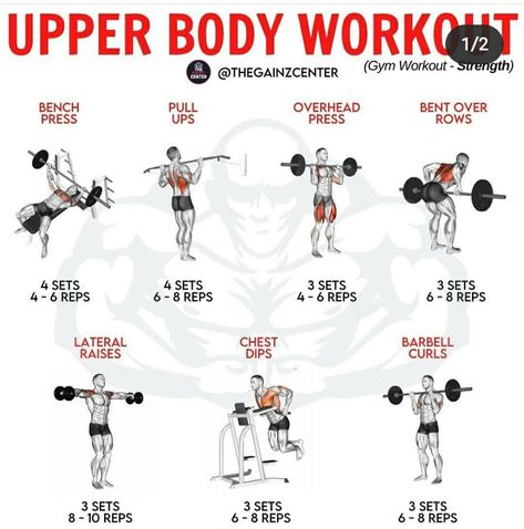 Upper Body Workout Men, Women Full Body Workout, Upper Body Workout Gym, Boxer Workout, Back Workout Men, Full Upper Body Workout, Body Sculpting Workouts, Bicep And Tricep Workout, Full Body Weight Workout