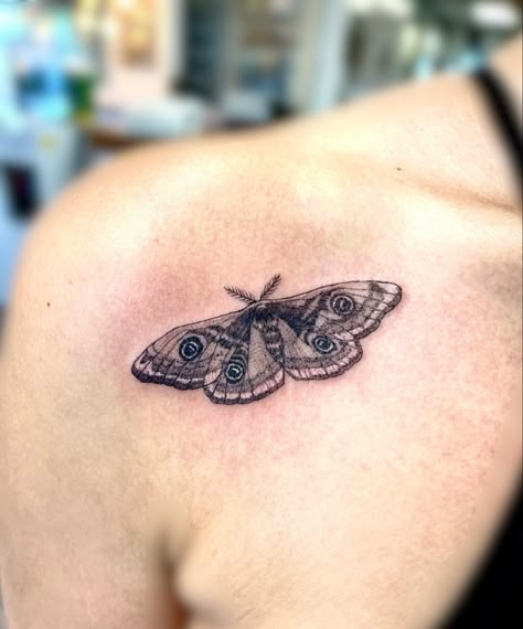 Moth Tattoo On Shoulder, Moth Tattoo Collarbone, Moth Tattoo Elbow Bend, Wrist Moth Tattoo, Shoulder Moth Tattoo, Moth Collar Bone Tattoo, Moth Tattoo Placement Ideas, Delicate Moth Tattoo, Moth Eye Tattoo