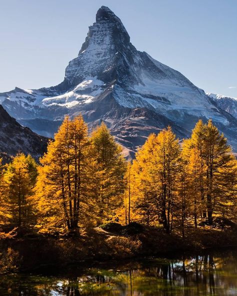 BBC Earth on Instagram: “The start of autumn in Grindjisee, Zermatt Oberwallis, Switzerland. Where's your favourite place to see the colours start to change from…” Switzerland Mountains, Bbc Earth, Mountains Landscape, Trees Nature, Zermatt, Autumn Fall, The Start, Mount Rainier, Places To See