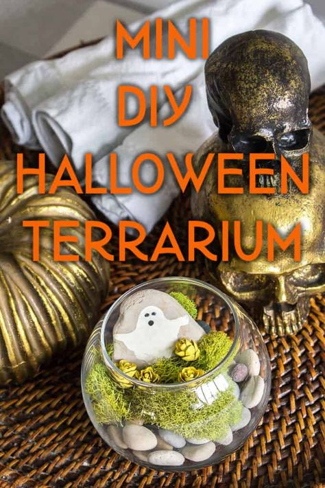 Halloween Terrarium - Crafty Little Gnome mini diy halloween terrarium #halloween #halloweencrafts #halloweenterrarium #halloweendecor #diyhalloween #halloweenkidcrafts #terrarium #halloween2019 #halloweendecoration #halloweentutorial Terrarium Halloween, Halloween Terrarium, Terrarium Craft, Creepy Halloween Decor, Spooky Halloween Food, Classy Halloween Decor, Teen Halloween, Terrarium Ideas, Halloween Craft Projects