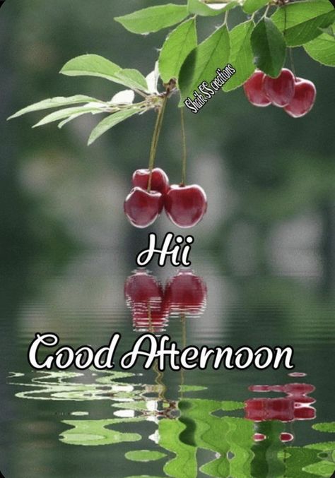 Good Afternoon Images Hd, Gud Afternoon, Afternoon Greetings, Afternoon Images, Greetings For The Day, Blessing Quotes, Special Good Morning, Good Afternoon Quotes, Happy New Year Pictures