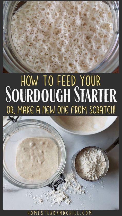 Resepi Roti, Sourdough Bread Starter, Dough Starter, Sourdough Starter Discard Recipe, Homemade Sourdough Bread, Bread Starter, Artisan Bread Recipes, Sourdough Starter Recipe, Sourdough Baking