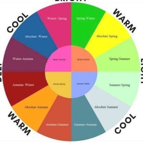 Think about seasonal color as a circle and that circle is divided into 4 quadrants. Each quadrant represents one of the seasons Spring Summer Autumn and Winter. Each person will fall somewhere in that circle. Some might fall somewhere right in 4 Quadrants, Mixing Paint Colors, Balsamic Beef, Seasonal Color Analysis, Cork Crafts, Color Harmony, Color Psychology, Natural Sugar, Color Analysis