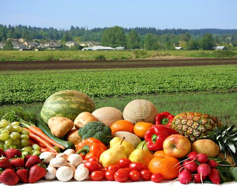 Farmer's crop. Large variety of fresh fruit and vegetables, water droplets visib , #AD, #fresh, #fruit, #vegetables, #variety, #Farmer #ad Farm Fresh Recipes, Free Fruit, Fruit Photography, Eating Organic, Food Help, Fresh Fruits And Vegetables, Farm Fresh, Ways To Save Money, Organic Recipes