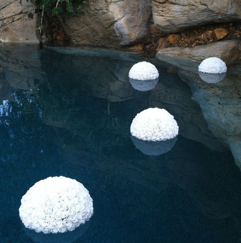 flower balling....kool Wedding Pool Decorations, Floating Pool Flowers, Floating Pool Decorations, Pool Wedding Decorations, Pool Decorations, Backyard Wedding Decorations, Pool Wedding, Kissing Ball, Floating Flowers