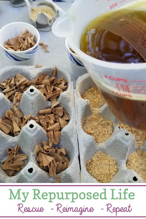 Wood shavings and wax make great fire starters. These fire starters really help your logs light easily without stuffing tons of newspapers or using those quick start logs with chemicals. Perfect for the backyard, or campsite-even in your fireplace. #MyRepurposedLife #firepit #campfire #firestarter #diy #fireplace Sawdust Fire Starters, Firestarters Diy, Homemade Fire Starters, Fire Starters Diy, Candle Upcycle, Log Candle Holders, Hanging Craft Ideas, Log Candles, Wood Shavings