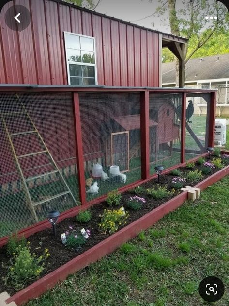 Chicken Coop Garden, Backyard Chicken Coop Plans, Diy Chicken Coop Plans, Chicken Coop Run, Backyard Chicken Farming, Raising Backyard Chickens, Chicken Coop Designs, Chicken Garden, Coop Plans