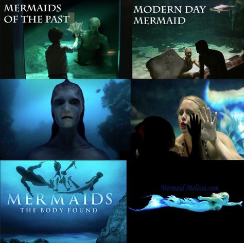 Mermaid The Body Found, Mermaids The Body Found, Mysterious Mermaids, Caught Mermaid, Siren Tv Show Mermaid, Mermaid Being Captured, Real Life Mermaids, Mermaid Siren, Duyung Mermaids Meme