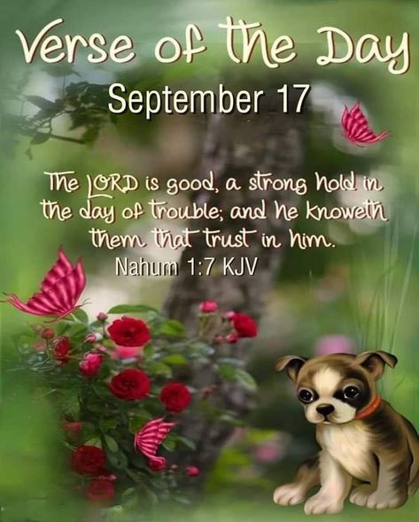 September Quotes, Nahum 1:7, Sunday Greetings, Peaceful Morning, Sunday Blessings, Good Morning Happy Sunday, Daily Blessings, Good Morning God Quotes, The Lord Is Good