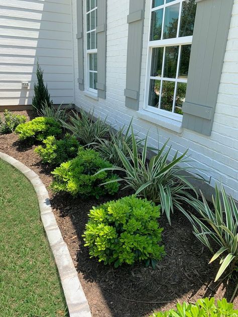 Outdoor Shrubs Front Yards, Flowerbed Around Patio, Front Of The House Flower Bed Ideas, Garden Ideas Front Of House Entrance, Front Yard Low Maintenance Flower Bed Ideas, Simple Clean Front Yard Landscaping, Low Profile Landscaping Front Yards, Flower Bed Inspiration Front Yards, Front Bushes Landscaping