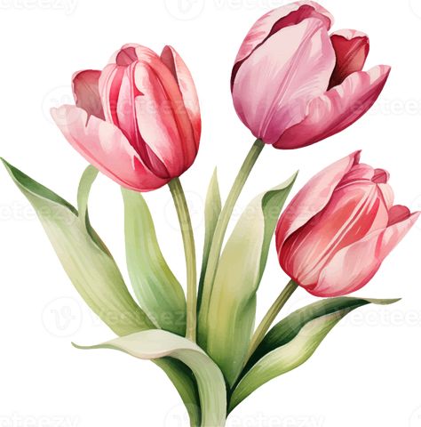 Tulips Clipart, Tulip Clipart, Flower Graphics, Scrapbook Clipart, Watercolor Tulips, Watercolor Paintings Easy, Flowers Watercolor, Pink Bouquet, Easy Watercolor