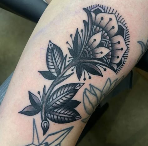 Wish Bone Tattoo Traditional, Traditional Plant Tattoo Black, Black And Grey Watercolor Tattoo, American Trad Filler Tattoos, American Traditional Flower Tattoo Designs, Old School Tattoo Sleeve Women, Traditional Thistle Tattoo, Fan Traditional Tattoo, American Traditional Mandala Tattoo