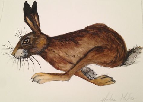 Running Hare - Julie Miles  Watercolour, ink, pencil Running Hare Illustration, Running Hare, Hare Illustration, Bunny Artwork, Hare Art, Greyhound Art, Fox And Rabbit, Watercolour Ink, Vintage Rabbit