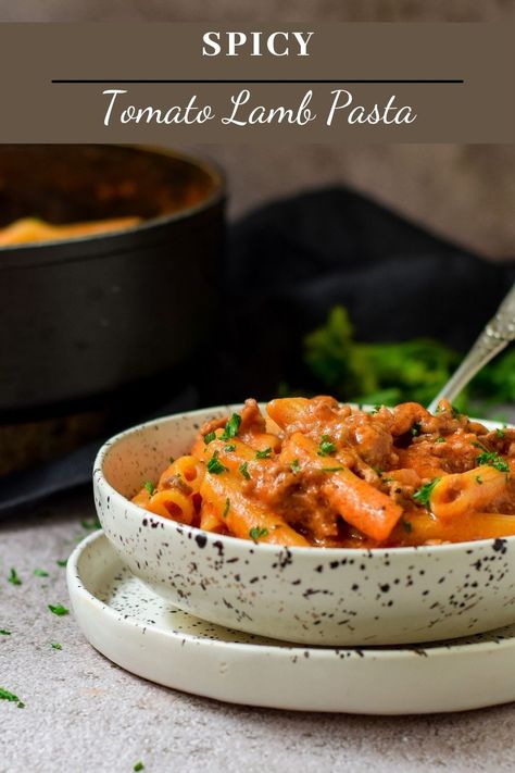 A spicy tomato lamb pasta, comfort in a bowl. A spicy tomato and lamb sauce mixed with a creamy bechamel sauce and cheese Mix Sauce Pasta, Hummus Pasta, Lamb Pasta, Lamb Sauce, Vodka Sauce Pasta, Pasta Bake Easy, Spicy Pasta, Italian Tomato Sauce, Tomato Dishes