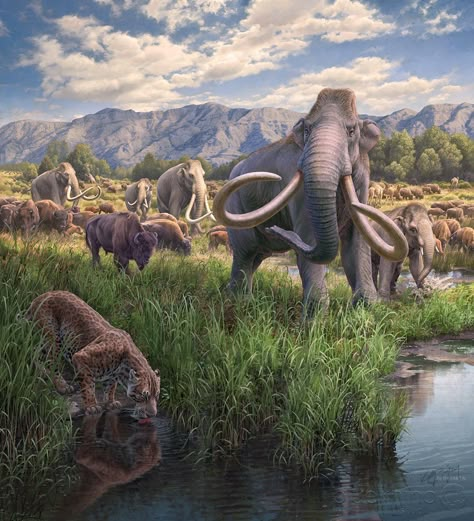 Cenozoic Era, Ice Age Animals, Prehistoric Planet, Prehistoric Wildlife, Woolly Mammoth, Prehistoric World, Prehistoric Art, Paleo Art, Extinct Animals