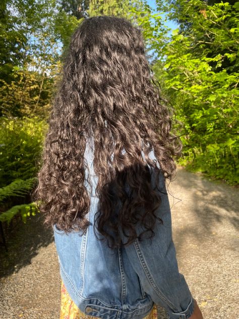 Long Curly Hair Faceless, Faceless Curly Hair Girl, Long Healthy Curly Hair Vision Board, Long Curly Healthy Hair Aesthetic, Dark Long Curly Hair Aesthetic, Hair Inspo, Dreadlocks, Long Hair Styles, Hair Styles