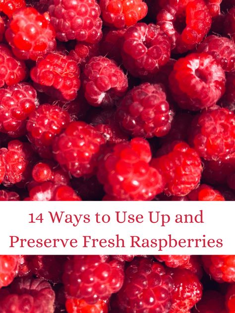 14 Ways to Use Up and Preserve Fresh Raspberries - One Hundred Dollars a Month Ways To Preserve Raspberries, What Can I Do With Fresh Raspberries, How To Preserve Raspberries, Canning Raspberries Recipes, Recipes For Fresh Raspberries, What To Make With Fresh Raspberries, What To Do With Fresh Raspberries, Fresh Raspberries Recipes, Recipes With Fresh Raspberries